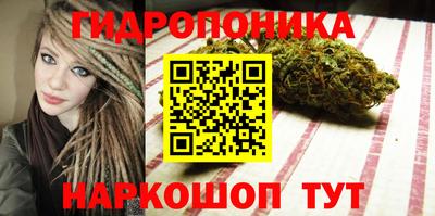 мдпв Жуковский
