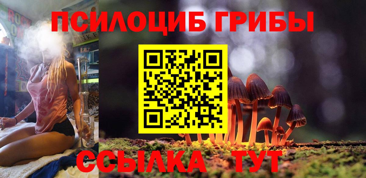 Коряжма  Псилоцибиновые грибы Cubensis  Вход с VPN 