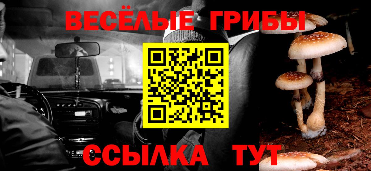 Галлюциногенные грибы ЛСД Коряжма